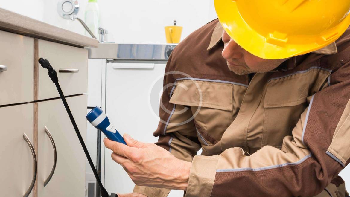CONTROL DE PLAGAS EN LA CONSTRUCCIÓN