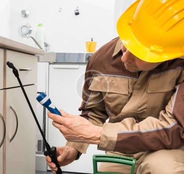 CONTROL DE PLAGAS EN LA CONSTRUCCIÓN