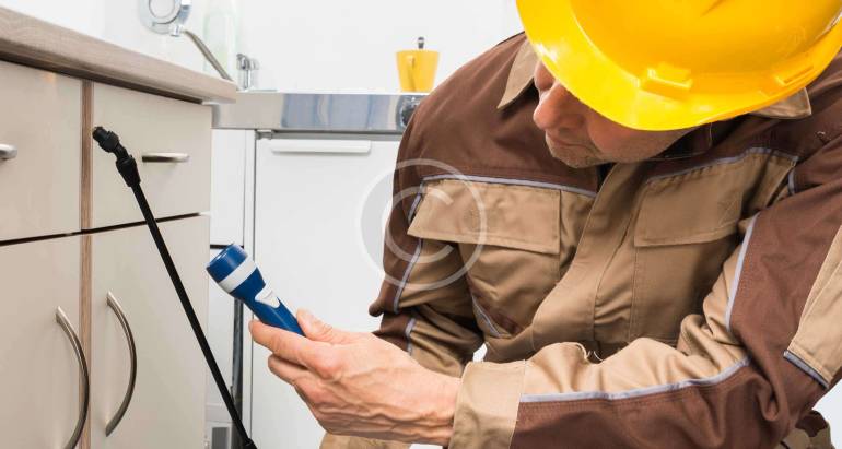 CONTROL DE PLAGAS EN LA CONSTRUCCIÓN